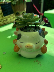 Cow Face Animal Pot