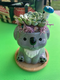 Koala Animal Pot