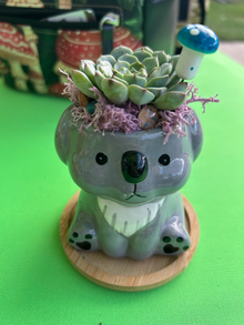 Koala Animal Pot