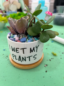 I Wet My Plants Pot