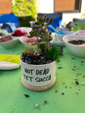 Not Dead Yet Succa Pot