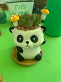 Panda Animal Pot