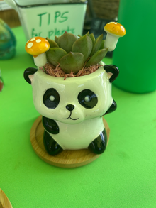 Panda Animal Pot