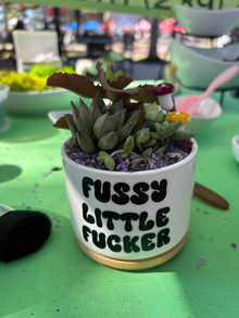 Fussy Little Fucker Pot