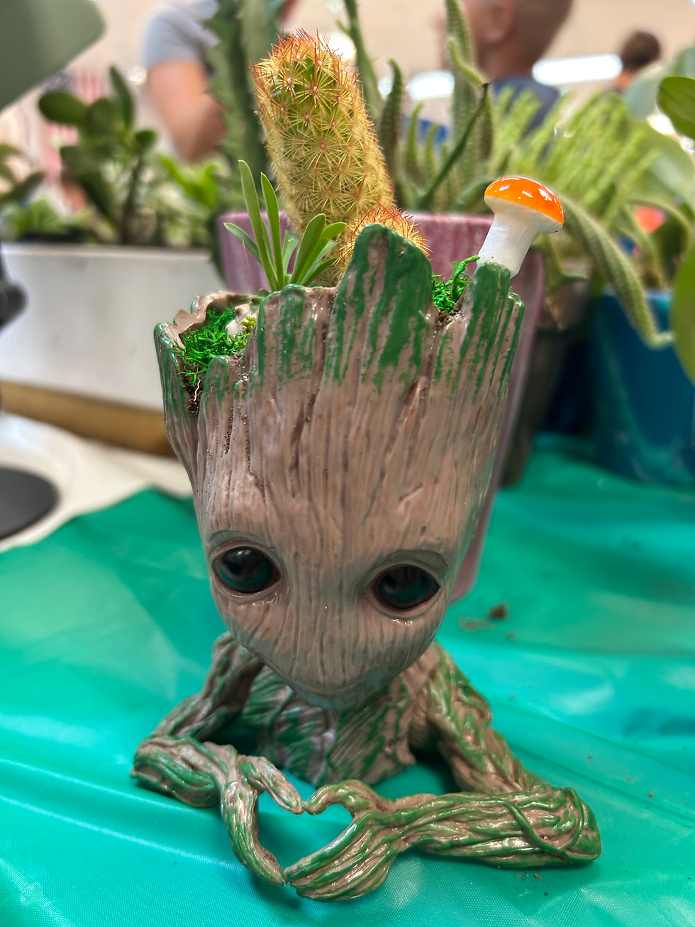 Groot Pot