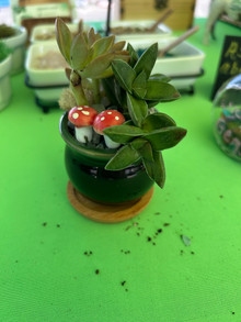 Green Bowl Animal Pot