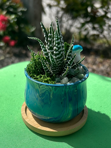 Turquoise Haworthia Paint Poured Pot
