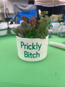 Prickly Bitch Pot