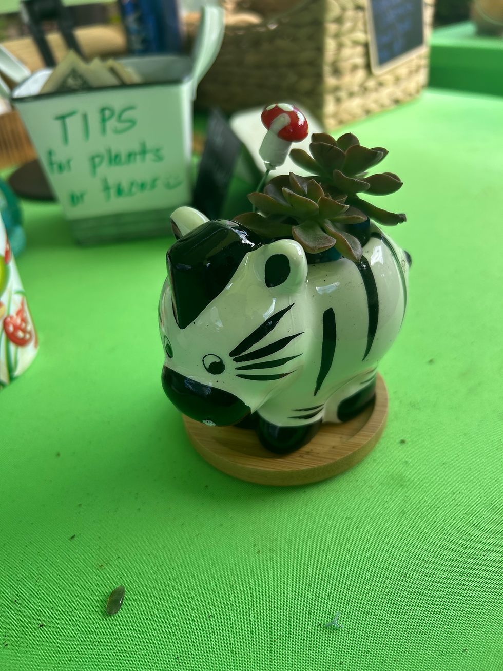 Zebra Animal Pot
