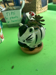 Zebra Animal Pot