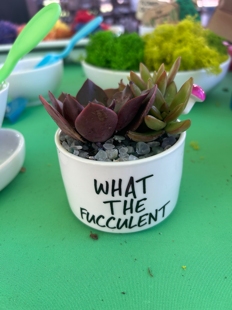 What The Fucculent Pot