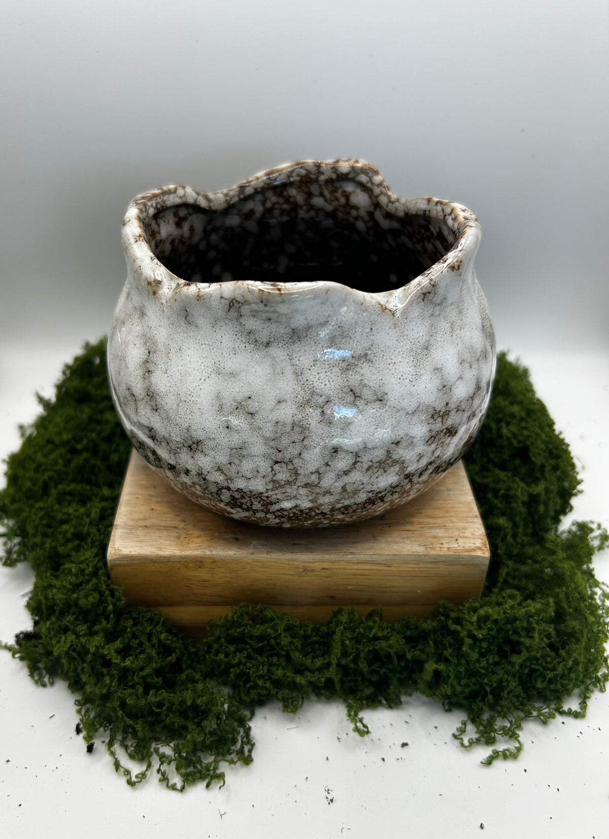 Solid Wide Mouth Pot White (fits 3 small succulents or one 4 inch plant)