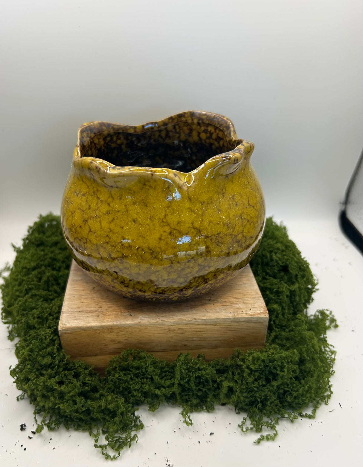 Solid Wide Mouth Pot Yellow (fits 3 succulents or one 4 inch pot)