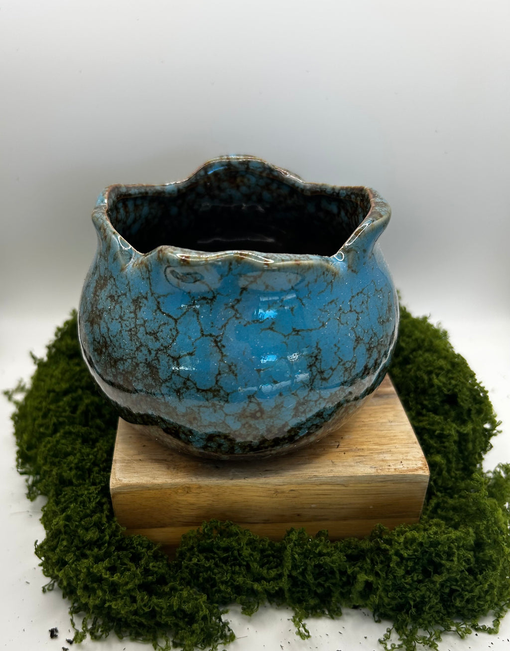 Solid Wide Mouth Pot Blue (fits 3 small succulents or one 4 inch plant)