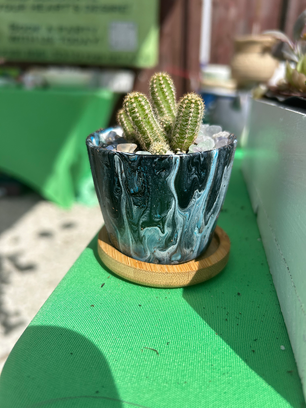 Black White Paint Poured Pot