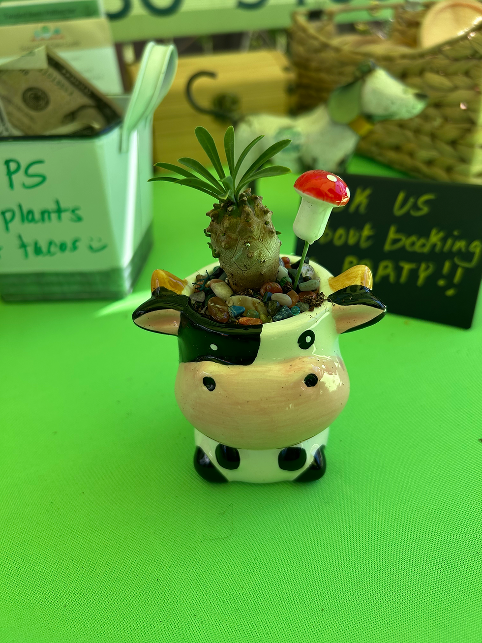 Cow Animal Pot