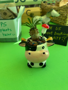 Cow Animal Pot