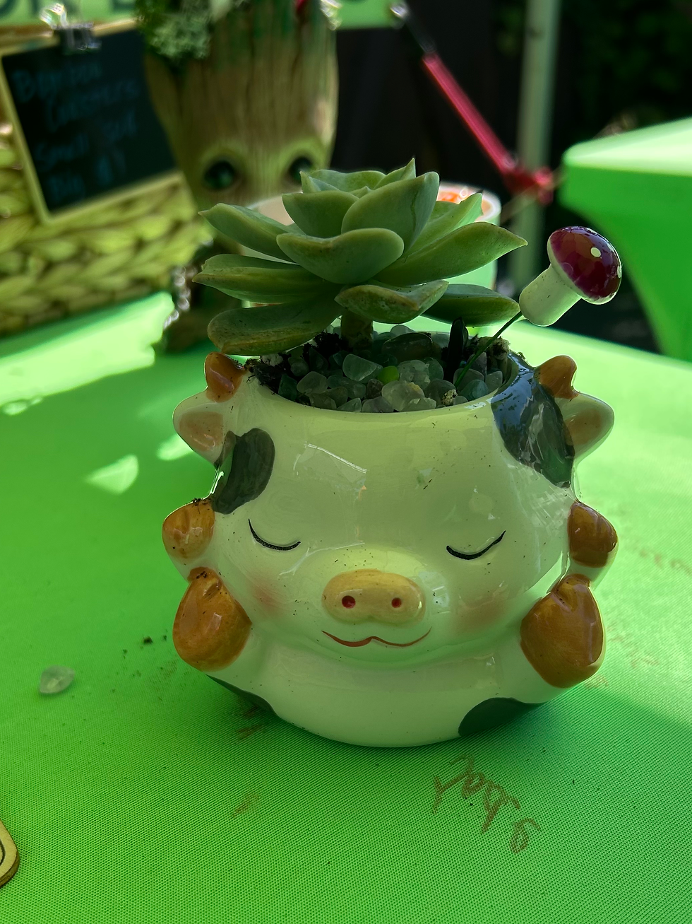 Cow Face Animal Pot