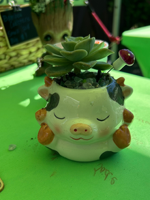 Cow Face Animal Pot