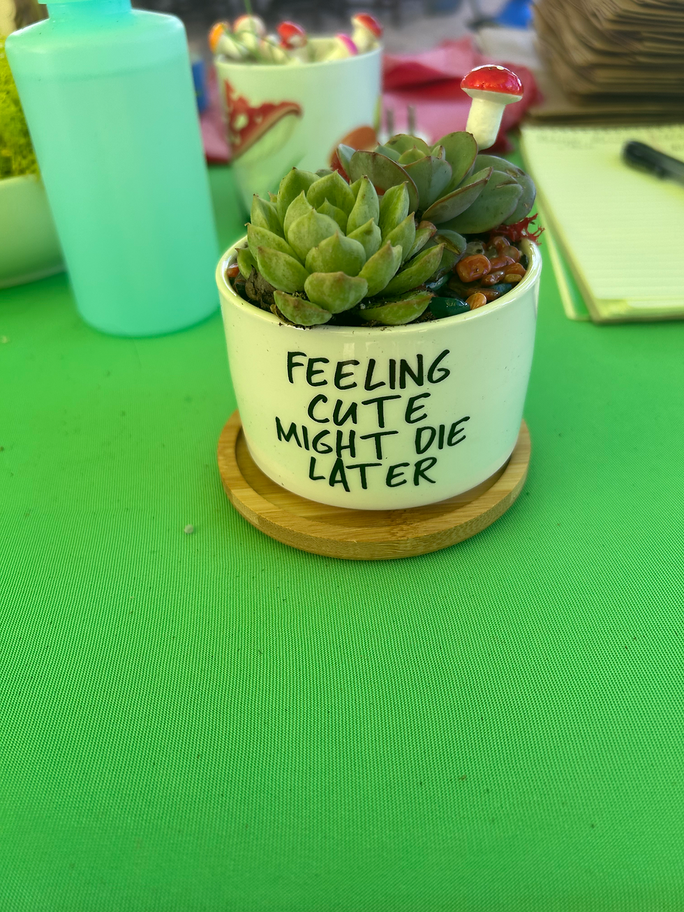 Feeling Cute Might Die Later Pot