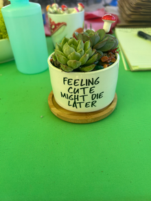 Feeling Cute Might Die Later Pot
