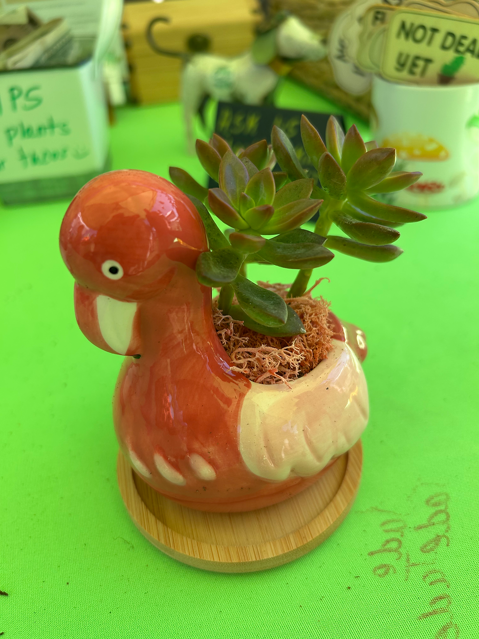Flamingo Animal Pot