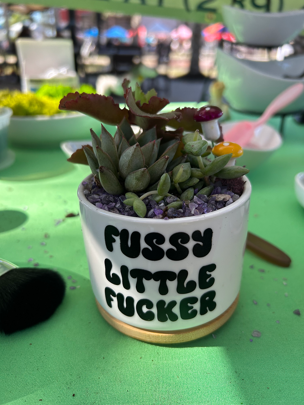 Fussy Little Fucker Pot