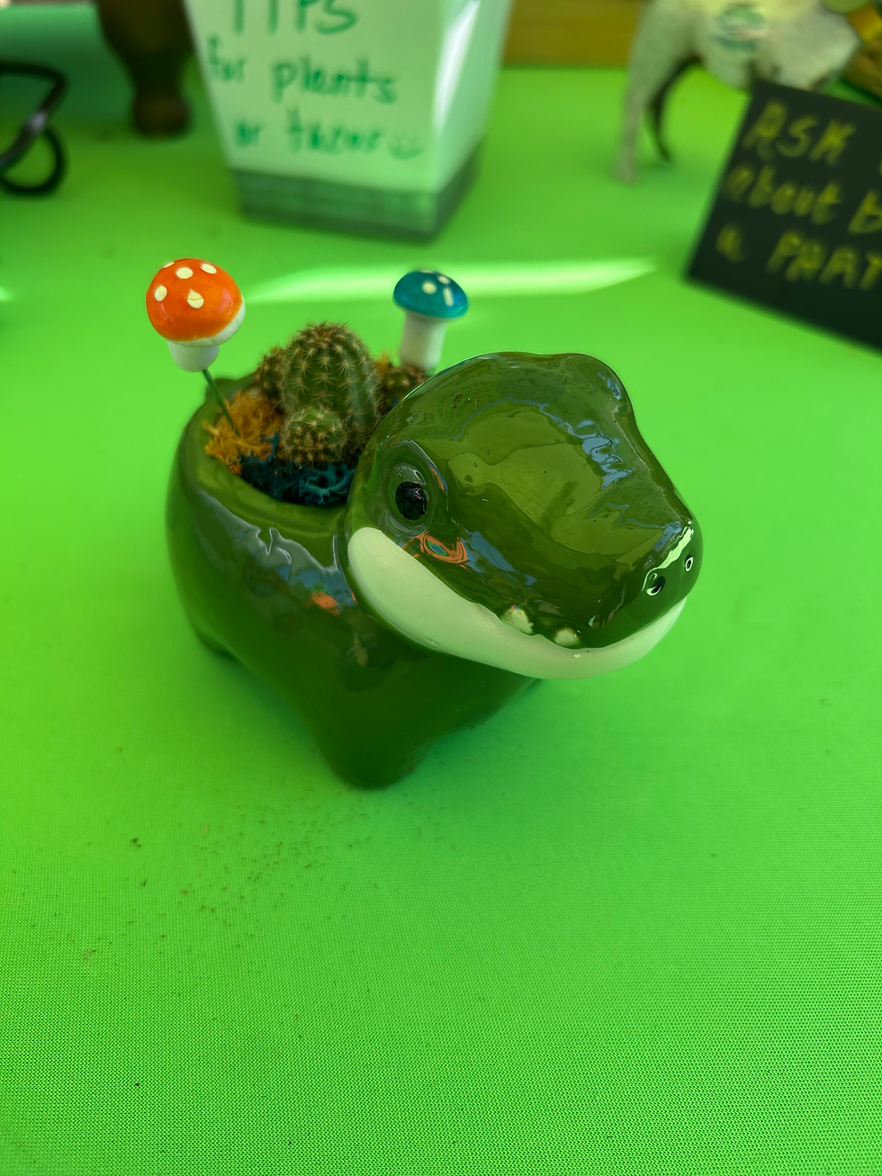 Hippo Animal Pot