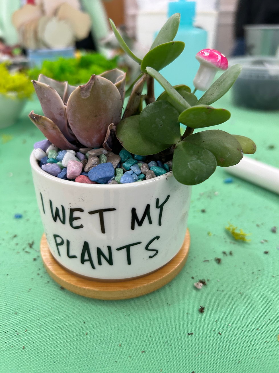 I Wet My Plants Pot
