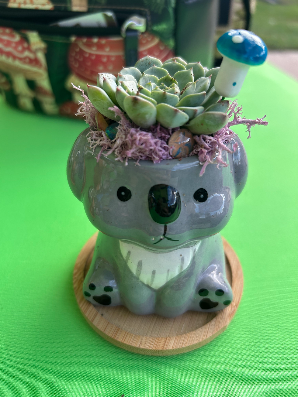 Koala Animal Pot