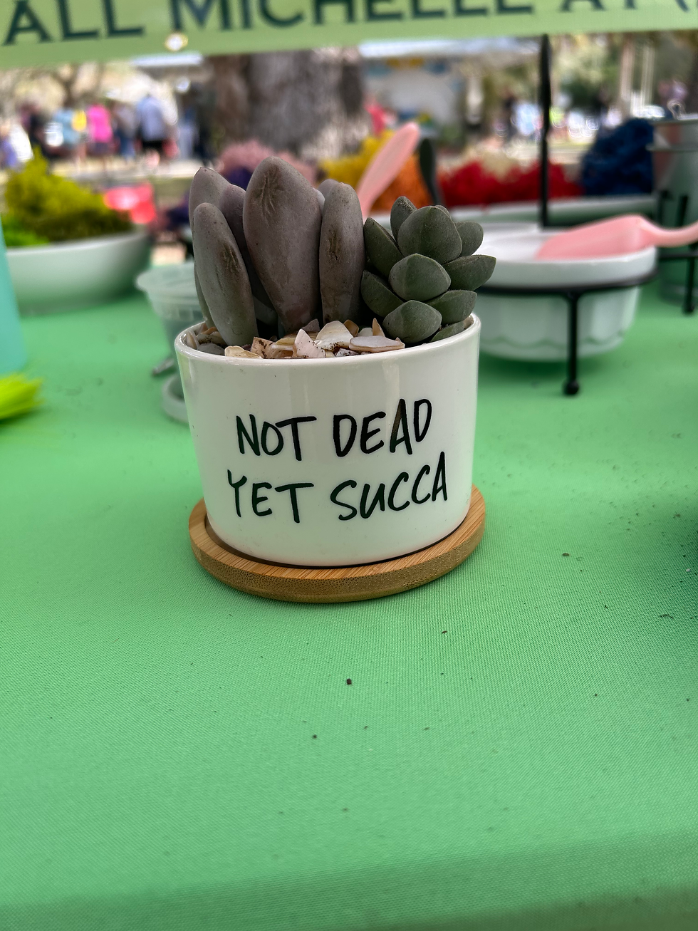 Not Dead Yet Succa Pot