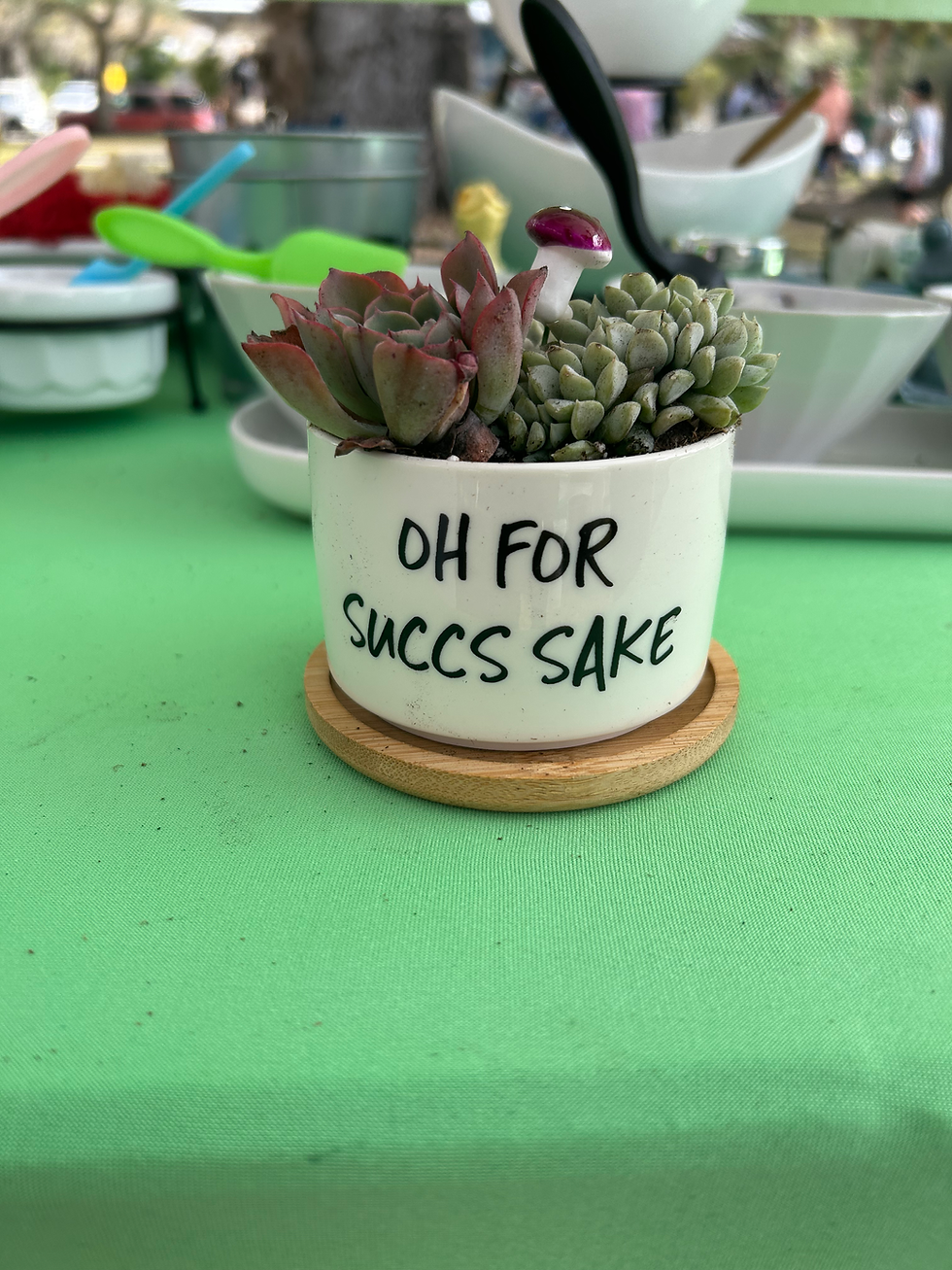 Oh For Succs Sake Pot