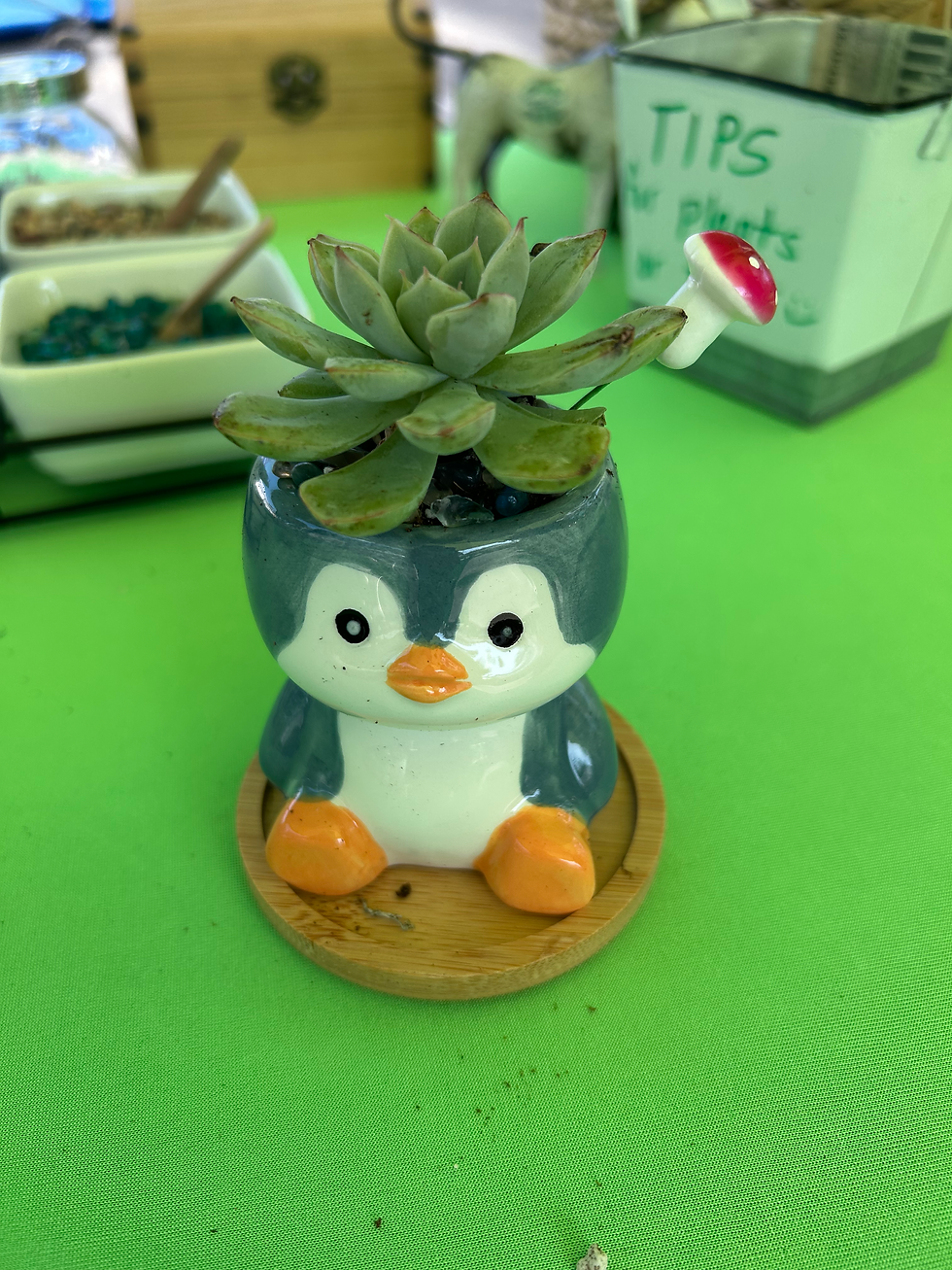 Penguin Animal Pot