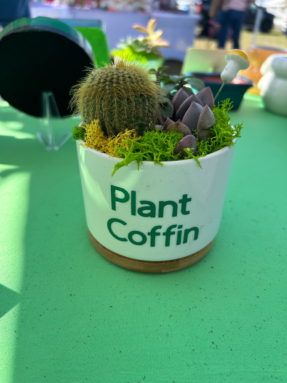 Plant Coffin Pot