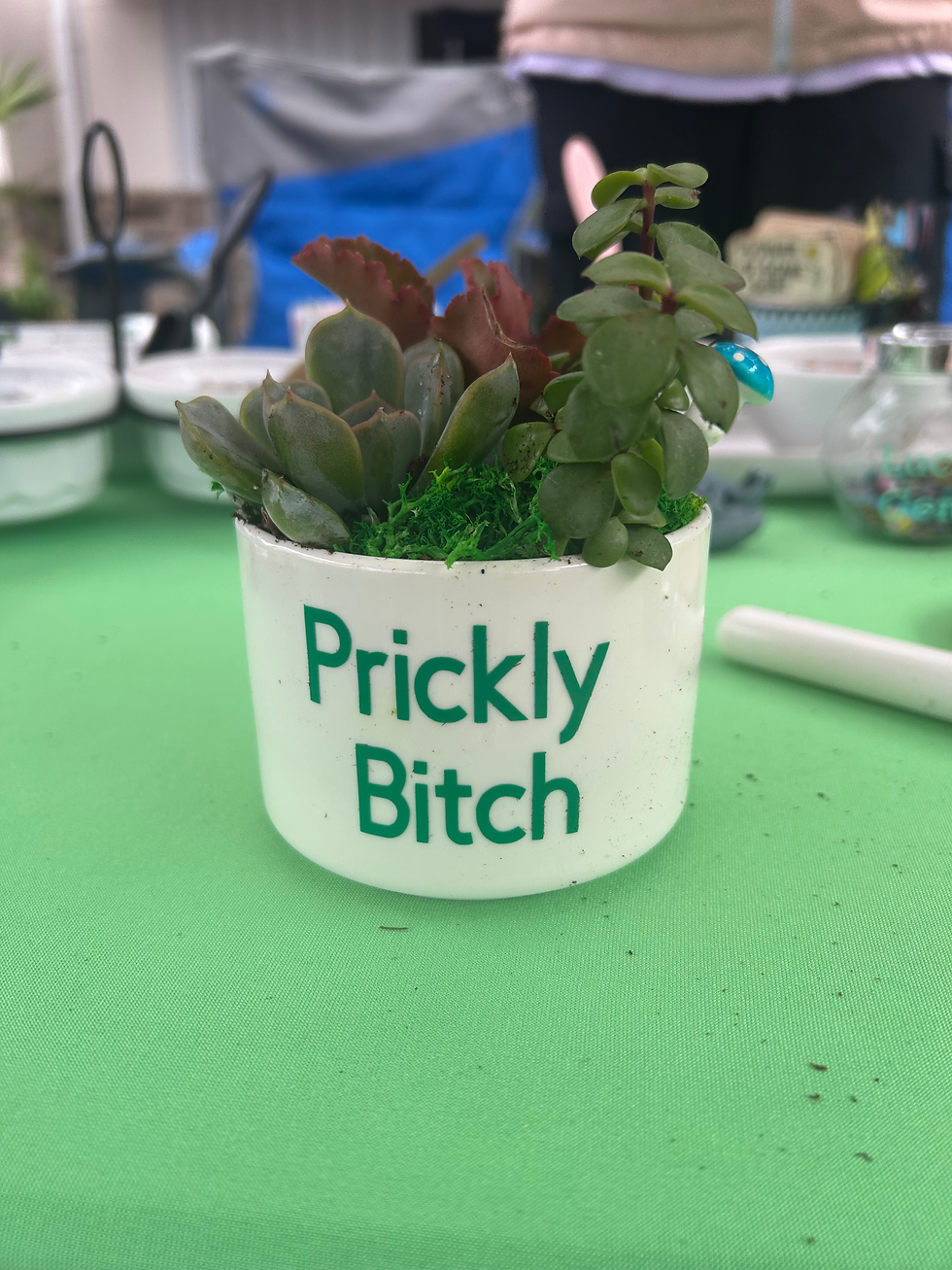 Prickly Bitch Pot