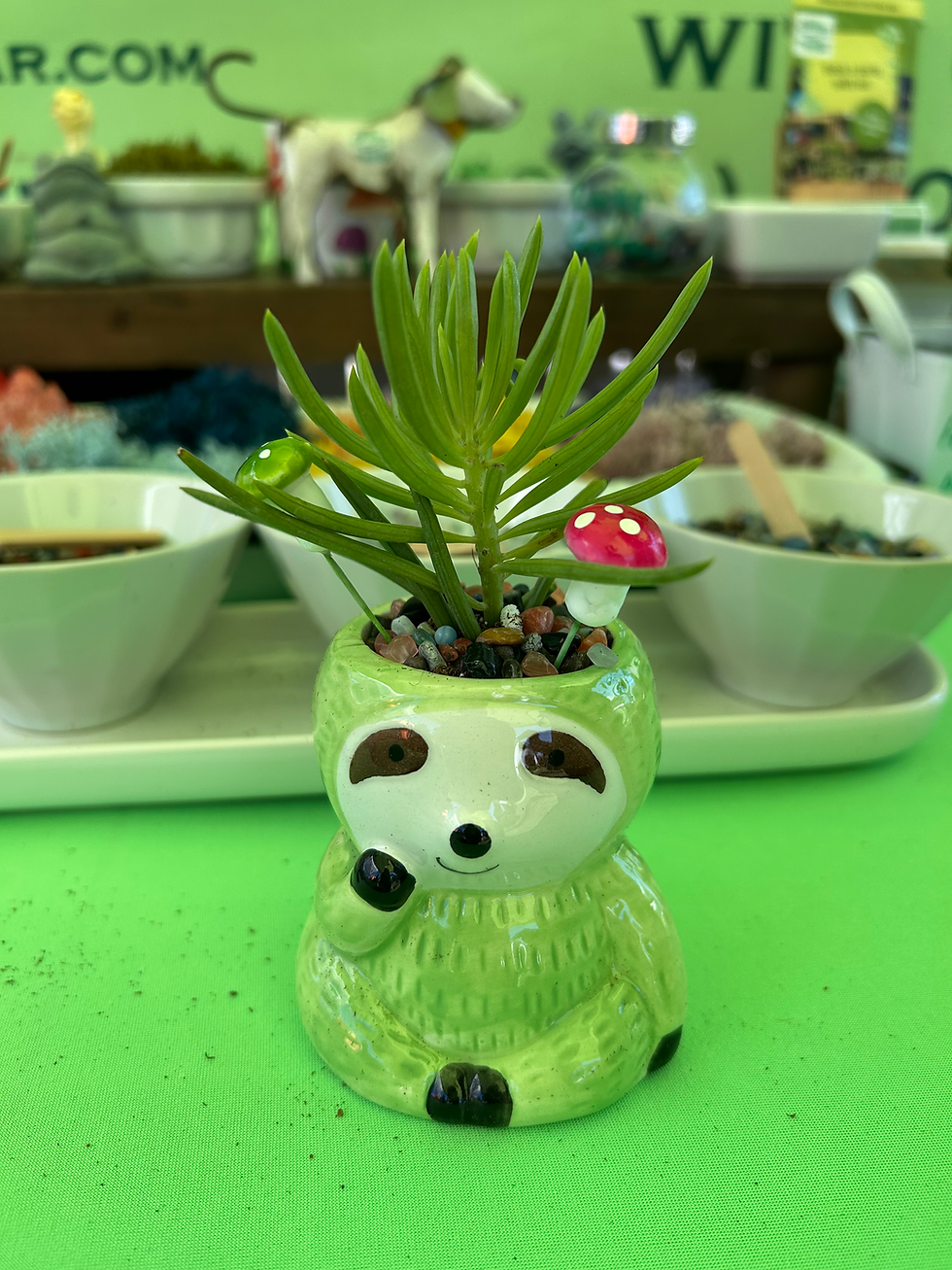 Sloth Animal Pot