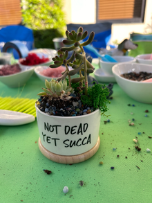 Tall Not Dead Yet Succa Pot