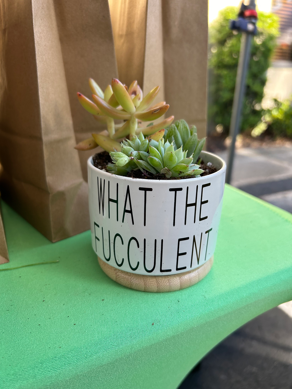 What The Fucculent Pot